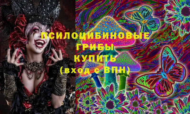 где найти наркотики  blacksprut зеркало  Галлюциногенные грибы Magic Shrooms  Александровск-Сахалинский 